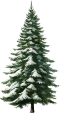 декор